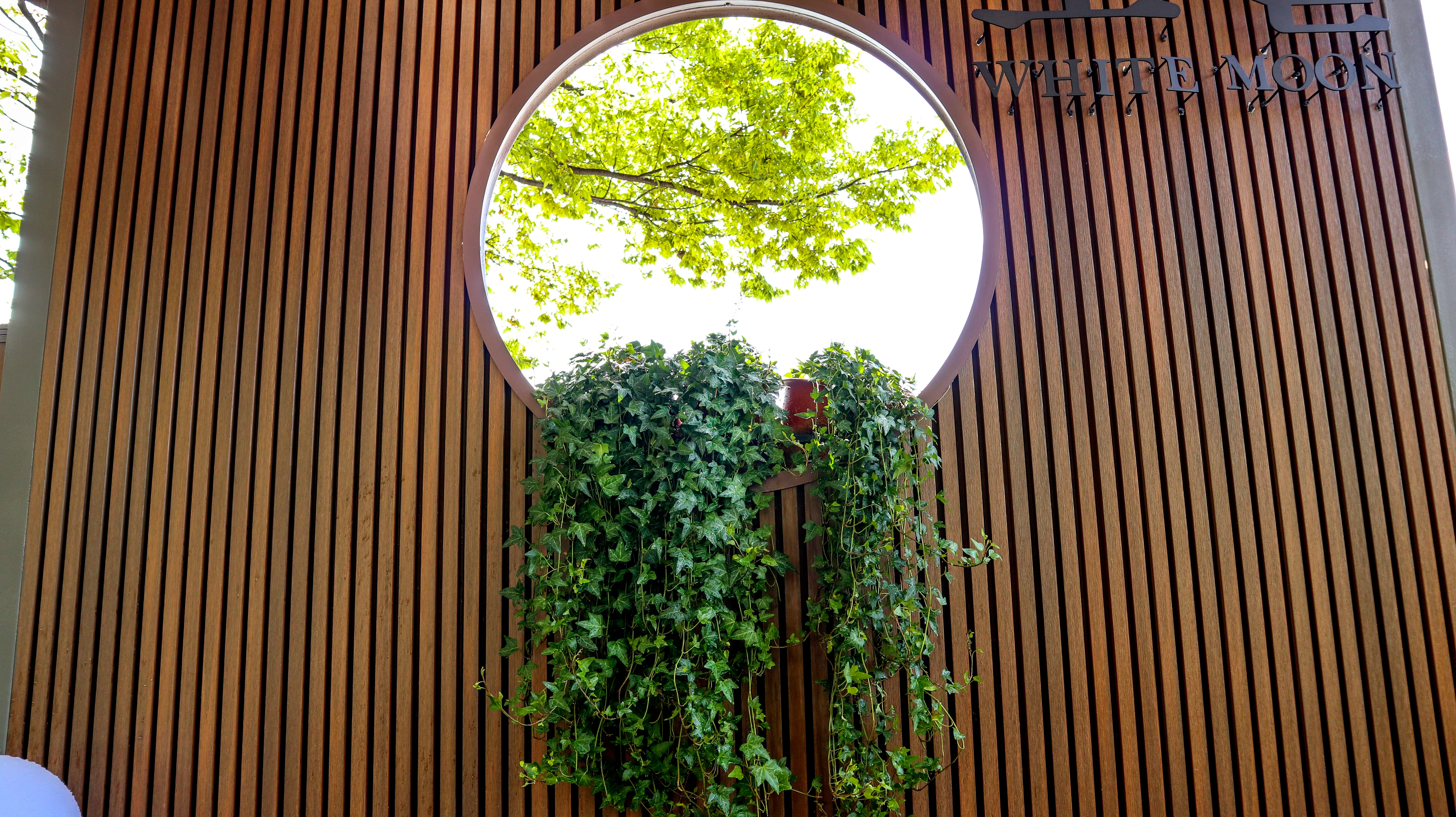 Red Cedar Rhombusprofielplank 2.5 x 19.6 cm (25 x 196 mm) Composiet Castellation 50 - Lengte 290 cm - Afbeelding 3